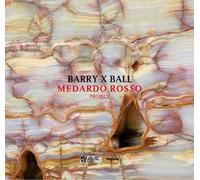 Barry x Ball. Medardo Rosso project. Ediz. italiana e inglese