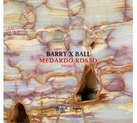 Barry x Ball. Medardo Rosso project. Ediz. italiana e inglese - Barisoni E...