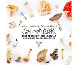 Bart Aerbeydt Auf Der Jagd Nach Romantik (CD) Album