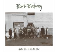 Bart Budwig Another Burn On the Astroturf (Vinyl LP) 12" Album