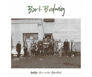Bart Budwig Another Burn On the Astroturf (Vinyl LP) 12" Album