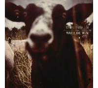 Bart De Win Simple Life (CD)