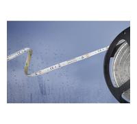 Barthelme 51540428 51540428 Striscia LED con estremità libera 12 V 5 m Bianco