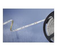 Barthelme 51540433 51540433 Striscia LED con estremità libera 12 V 5 m Bianco