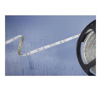 Barthelme 51540434 Striscia LED con estremità libera 12 V 5 m Bianco freddo 1