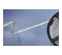 Barthelme 51540434 Striscia LED con estremità libera 12 V 5 m Bianco freddo 1