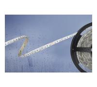 Barthelme 51540831 Striscia LED con estremità libera 24 V 5 m RGB 1 pz.