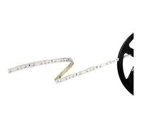 Barthelme 51541128 Basic 60 Striscia LED con estremità libera 12 V 5 m Bianco