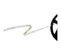 Barthelme 51541134 Basic 60 Striscia LED con estremità libera 12 V 5 m Bianco