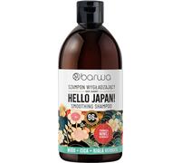 Barwa Hair Journey Shampoo Giappone, lisciante