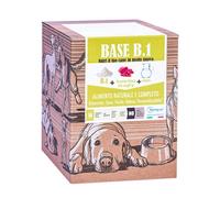 BASE B UNO 1 KG