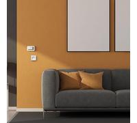 Base fissa 2P con otturatore, dimensioni 74x72x28 mm, ideale per l'installazione su superficie murale. Ottimizza il tuo spazio elettrico con stile e sicurezza. Perfetto per qualsiasi progetto.