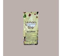 Base Frutta Specialfrutta per Gelato Preparato in Polvere Leagel 2 Kg