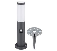 Base in acciaio inox luce terra spiedo percorso giardino rilevatore di movimento cortile esterno plug-in lampada da terra ANTHRACITE