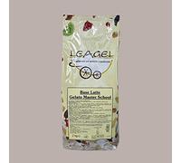 Base Latte Gelato Master School Leagel Preparato in Polvere Senza Aromi e Senza Grassi - 2 Kg -
