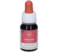 Basegemmo Lampone 30 Ml 30 ml Soluzione orale