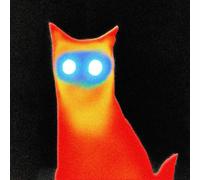 Basement WIRED (Vinyl LP) 12" Album
