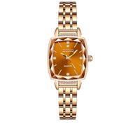 Basfur Dress Watch Fe-Montre-032-01