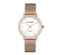 Basfur Dress Watch Fe-Montre-060-02