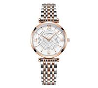 Basfur Dress Watch Fe-Montre-074-01