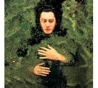 Bashung, Alain - Fantaisie Militaire