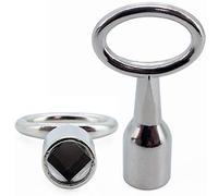 Basi 301V-9 - Chiave ad ardiglione argentata, 9 mm