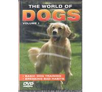 Basic Dog Training