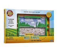 Ant Farm Formicaio da 25 cm Uncle Milton