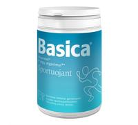 BASIC SPORT Bevanda Mineralizzata 660 Grammi Elettroliti Vitamina C E B2