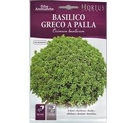BASILICO GRECO A PALLA HORTUS BUSTA