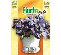 Basilico Rosso