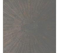 Basinski, William/La - Selva Oscura