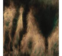 Basinski William - Lamentations (Merlot Vinyl)