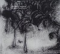 Basinski, William - Silent Night