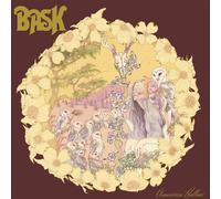 Bask American Hollow (CD) Album