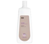 basler Silber Concentrato 1 Liter