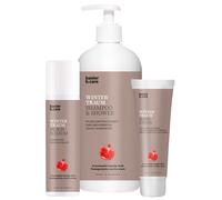 basler Wintertraum Set da 3 pezzi (shampoo e bagnoschiuma 500 ml + schiuma da doccia 150 ml + crema per le mani 125 ml)