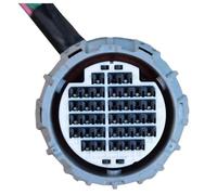 BASPHHH Compatibile con Nissan per Leaf 22 36 Pin Femmina Cambio Automatico Impermeabile Cablaggio Motore Controllo 7287-1065-30 7287-9871-40(36p Female)