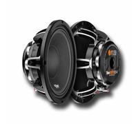 BASS FACE TeamZXM10/4 COPPIA Mid Woofer 25 cm 500Wattrms Neodimio ProAudio 25cm