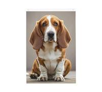 Basset Hound Welcome Garden Flag 0,6 x 0,9 m No Fade Double Sided Casa Yard Bandiere Outdoor Banner Decor Per Cortile Portico Prato