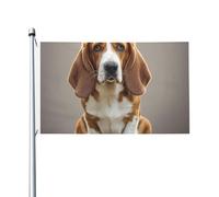 Basset Hound Welcome Garden Flag 90x150 Cm No Fade Double Sided Casa Yard Bandiere Outdoor Banner Decor Per Cortile Portico Prato