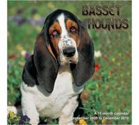 Basset-Hounds - (2010)
