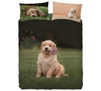 Bassetti completo copripiumino Imagine in alta definizione 250 x 200 + 40 compreso sotto lenzuolo e due federe (PONGO)