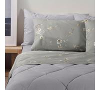 Bassetti Completo Letto Matrimoniale 100% Cotone - Collezione DREAM - (1 Lenzuolo Sopra 240x280 + 1 Lenzuolo Sotto Con Angoli 175x200 + 2 Federe 50x80cm) - Powder G2