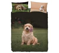 Bassetti Imagine Completo Copripiumino Singolo Copripiumone Una Piazza Pongo V1, Sacco Lenzuolo sotto con angoli, federa