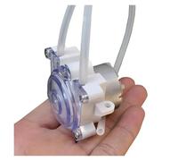 BASSFLY Pompa per Piscina, 2 Pezzi Micro Pompa peristaltica DC6V-12V Mini 500 motoriduttore dosaggio Liquido Acqua spremuta