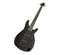 Basso elettrico moderno a 4 e 5 corde, doppio humbucker, 24 tasti, gamma estesa(4-String)