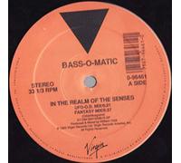 Bassomatic - In The Realm Of The Senses