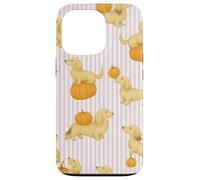 Bassotti a pelo lungo color crema sfumato a righe rosa zucca Custodia per iPhone 13 Pro