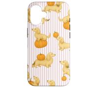 Bassotti a pelo lungo color crema sfumato a righe rosa zucca Custodia per iPhone 16